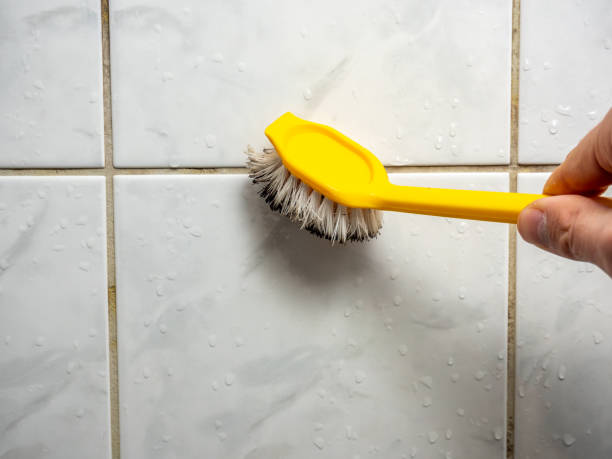 Best Mold Remediation for Specific Building Types in Fairfield, IA