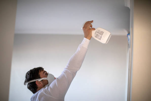 Best Residential Mold Remediation in Fairfield, IA