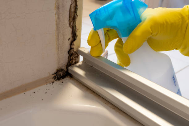 Best HVAC Mold Remediation in Fairfield, IA
