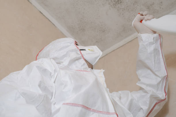 Best Industrial Mold Remediation in Fairfield, IA