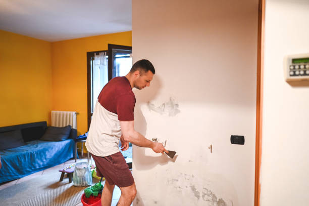 Best Localized Mold Remediation (e.g., coastal areas, humid climates) in Fairfield, IA